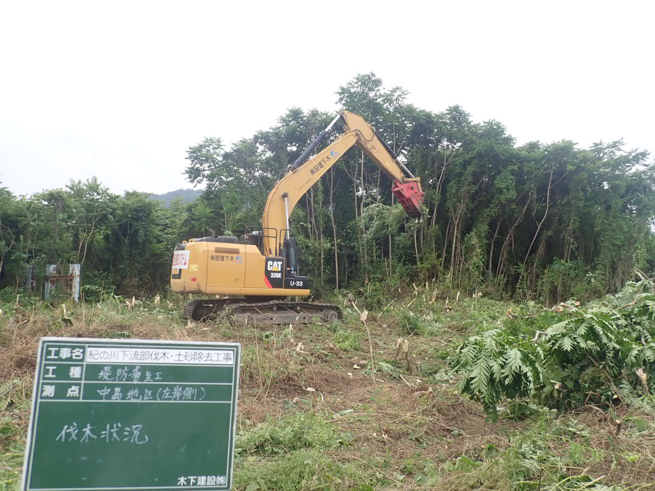 紀の川下流部伐木・土砂除去工事